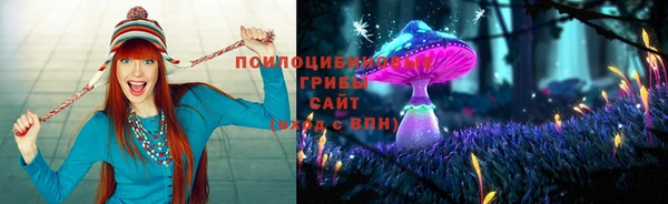 кокаин премиум Каменногорск