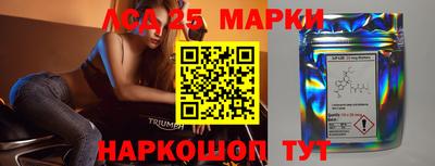 скорость Шелехов
